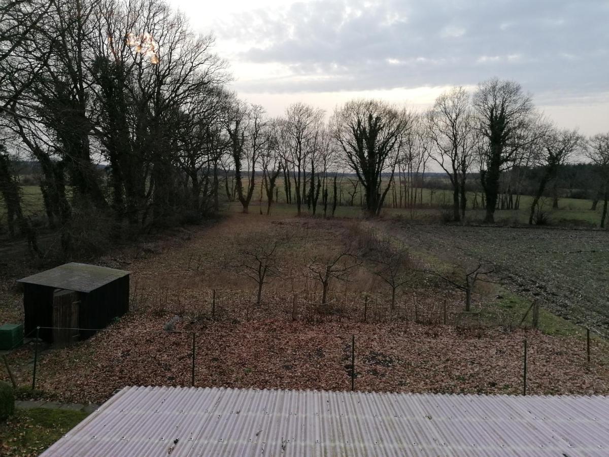 Ferienwohnung Wiesenweg Bad Bederkesa Dış mekan fotoğraf